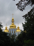 28222 Golden domes of St. Michael's Golden-Domed Cathedral through trees.jpg